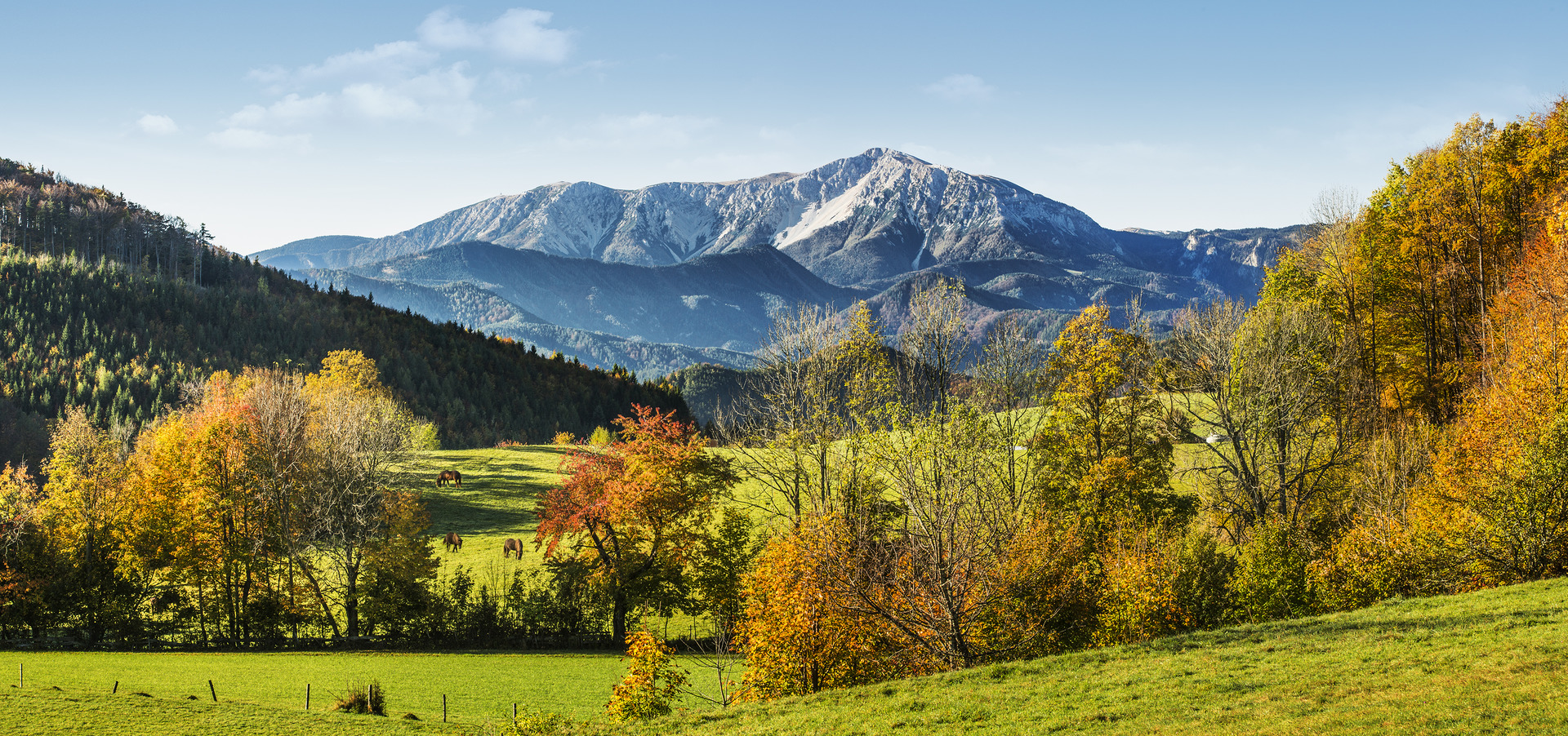 Kulinarische Feiertage