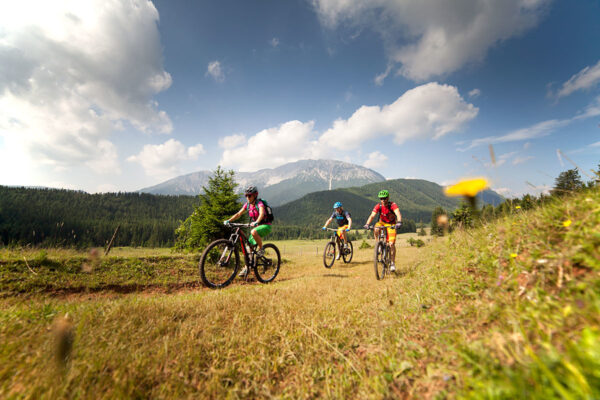 mamauwiese-0200(c)wieneralpen-bartl-mountainbikeguides.com